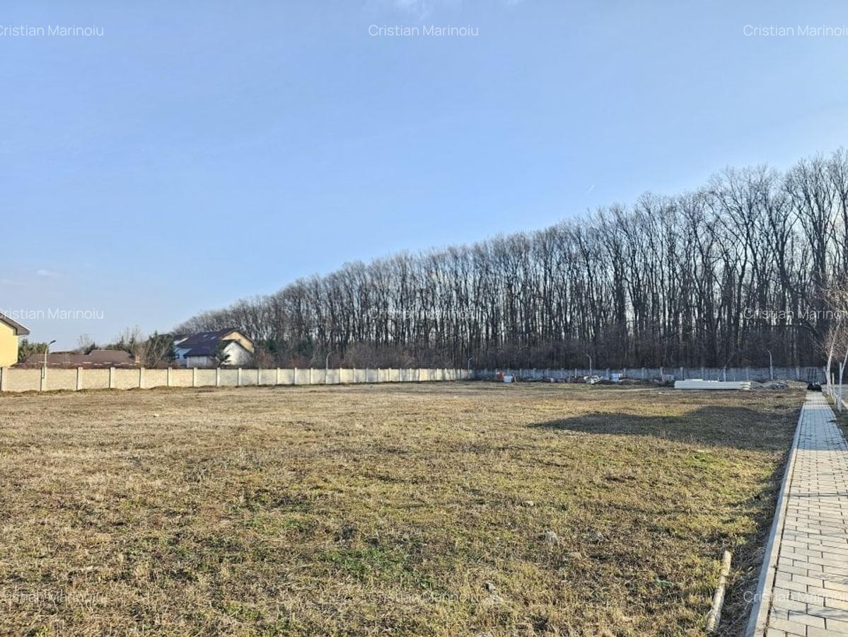 Teren de vanzare in Corbeanca - 3937 mp, amplasat intr-un cartier rezidential. - 1