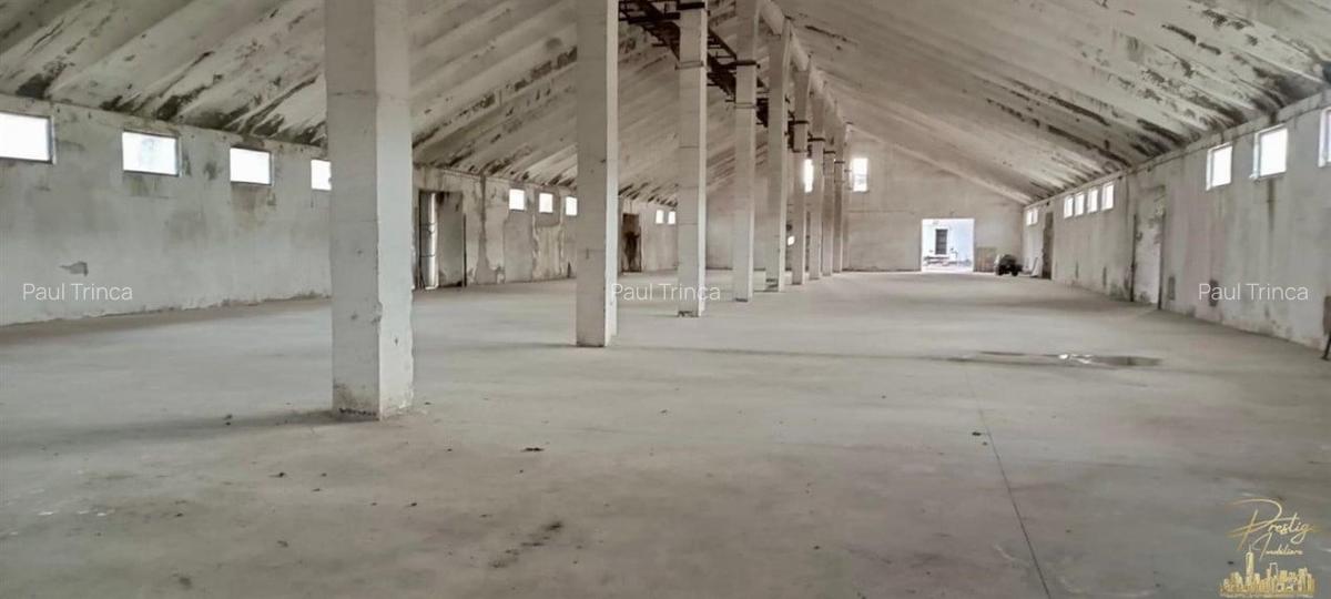 Complex Industrial cu rampa feroviara de inchiriat in Birtin - Bihor - 2