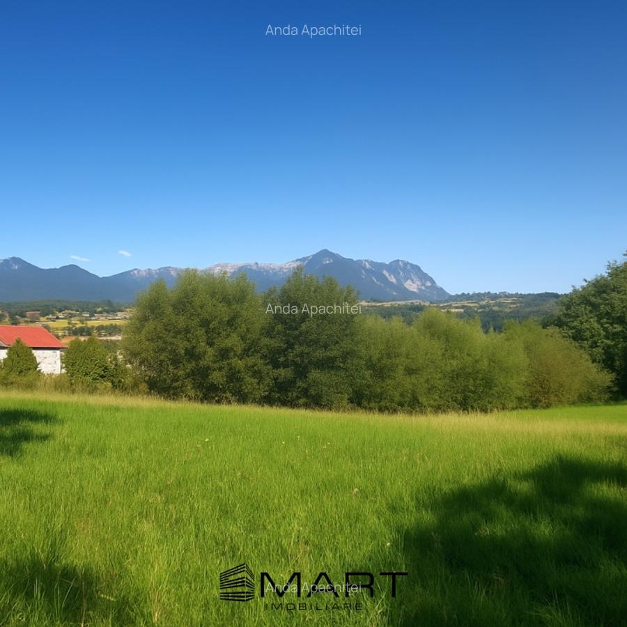 Teren intravilan 4200 mp Tohanu Nou - 2