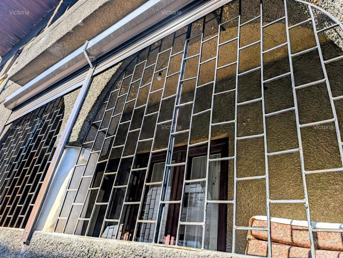 Apartament la parter de vila eleganta P+1 cu doar 2 apt,Parcul Carol,1/2 curte - 13