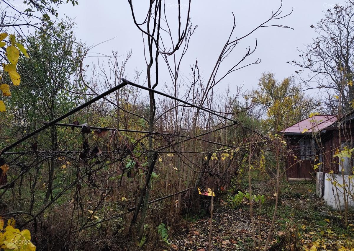 Casa batraneasca plus teren 1600mp Toporu jud. Giurgiu - 7