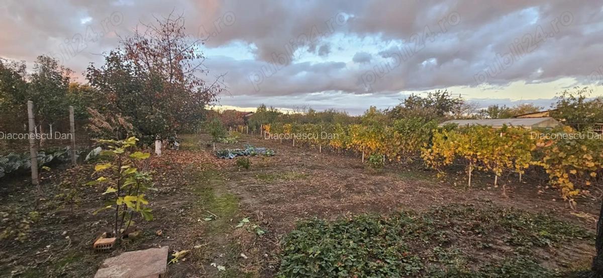 De vanzare teren + casa in Bucov Prahova - 7