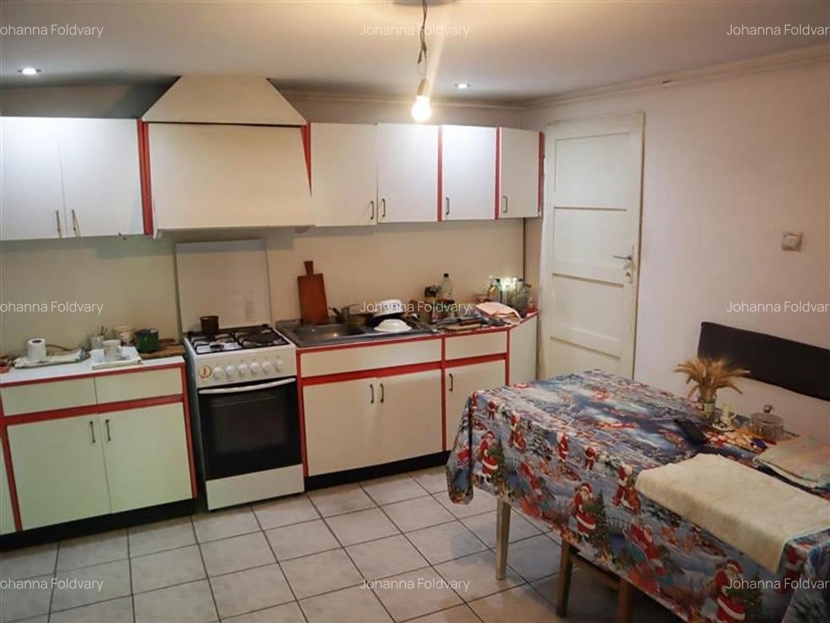 Casă cu 3 camere în Dorobanților - 5