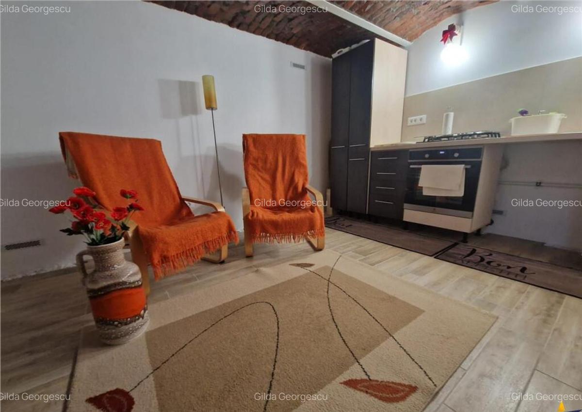 Armonie intre rustic si modern, complet renovat, zona Centra - 35