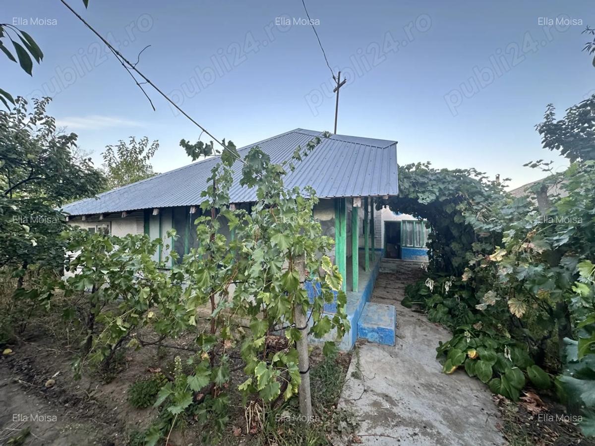 Vand casa batraneasca - 3 Vand casa batraneasca - 3