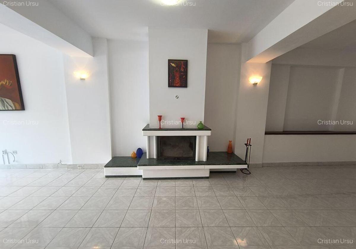 Dorobanti- duplex - 14