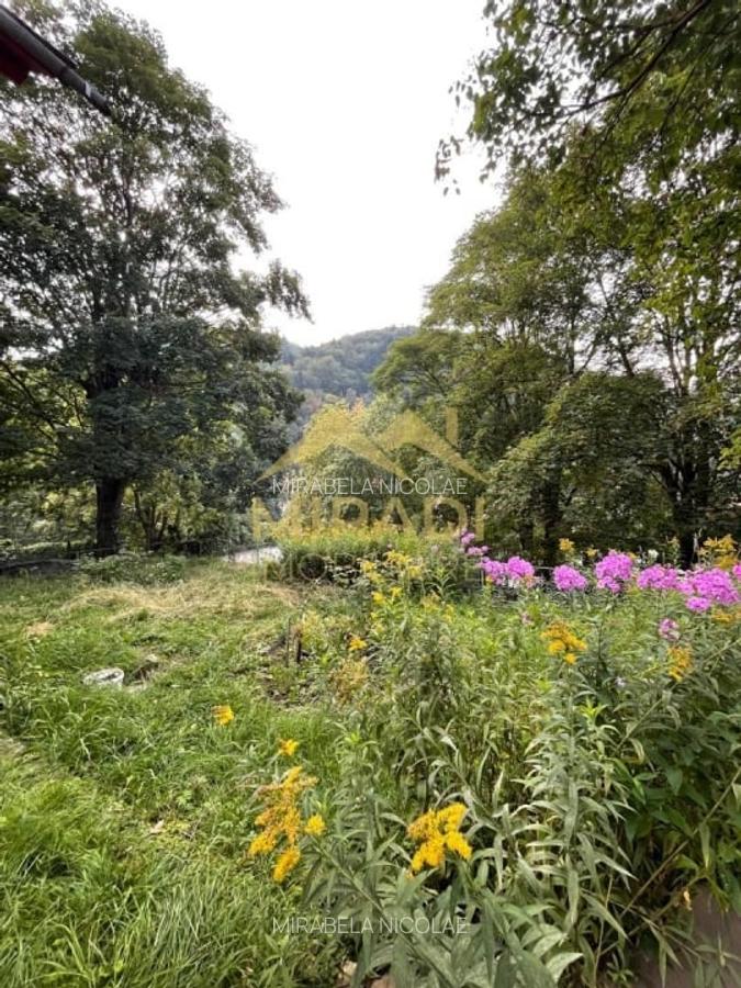 Vanzari Case / Vile - 8