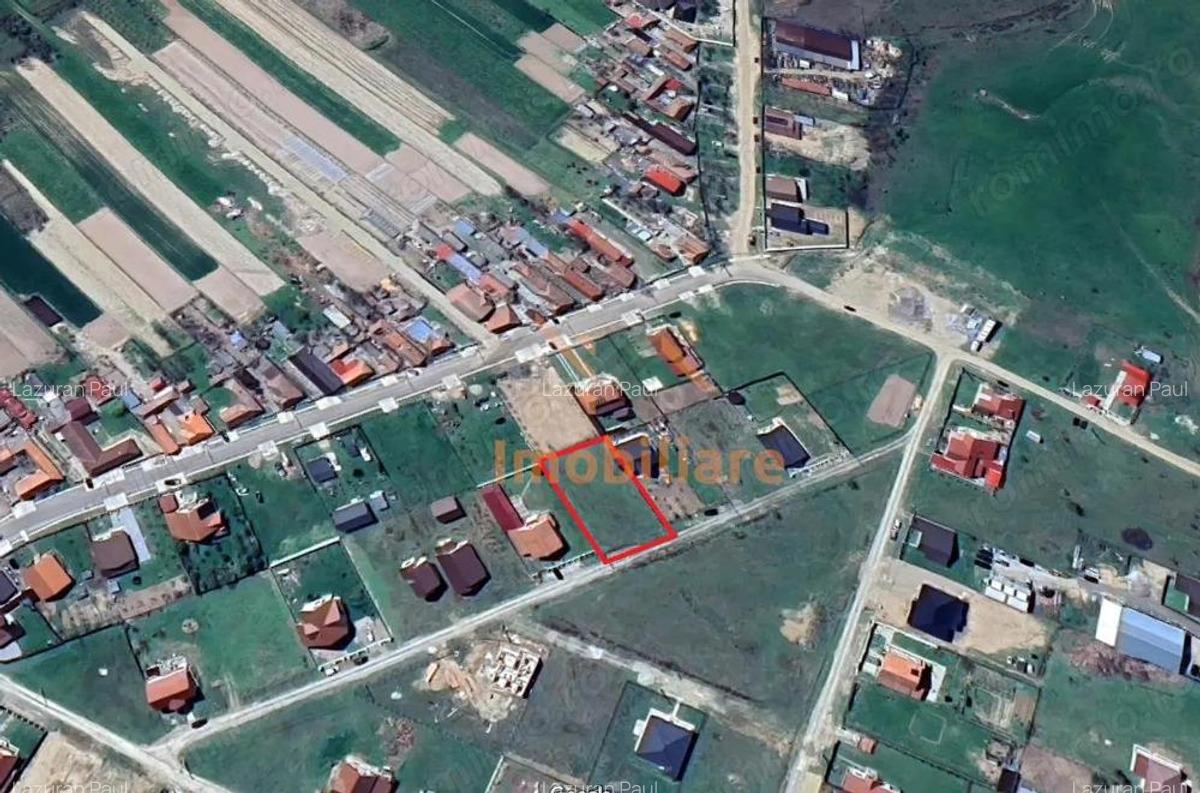 TEREN INTRAVILAN 1000mp | ALPAREA | BIHOR - 2