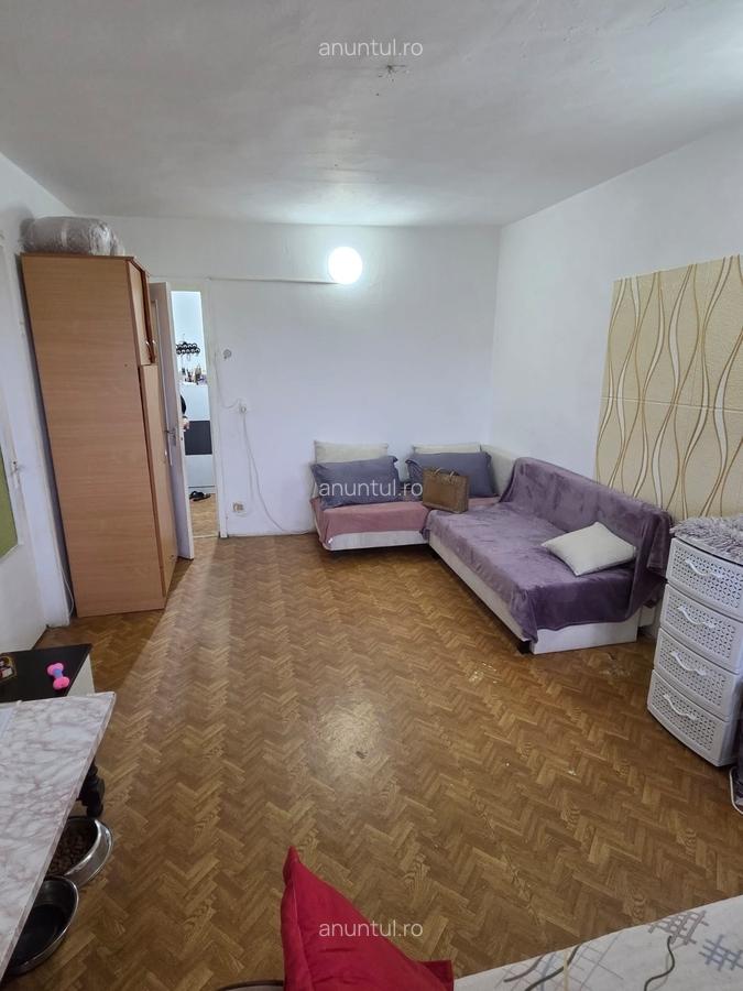 Baba Novac, Campia Libertatii - 11