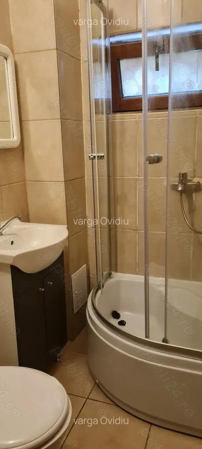 Proprietar, zona Aradului - 5