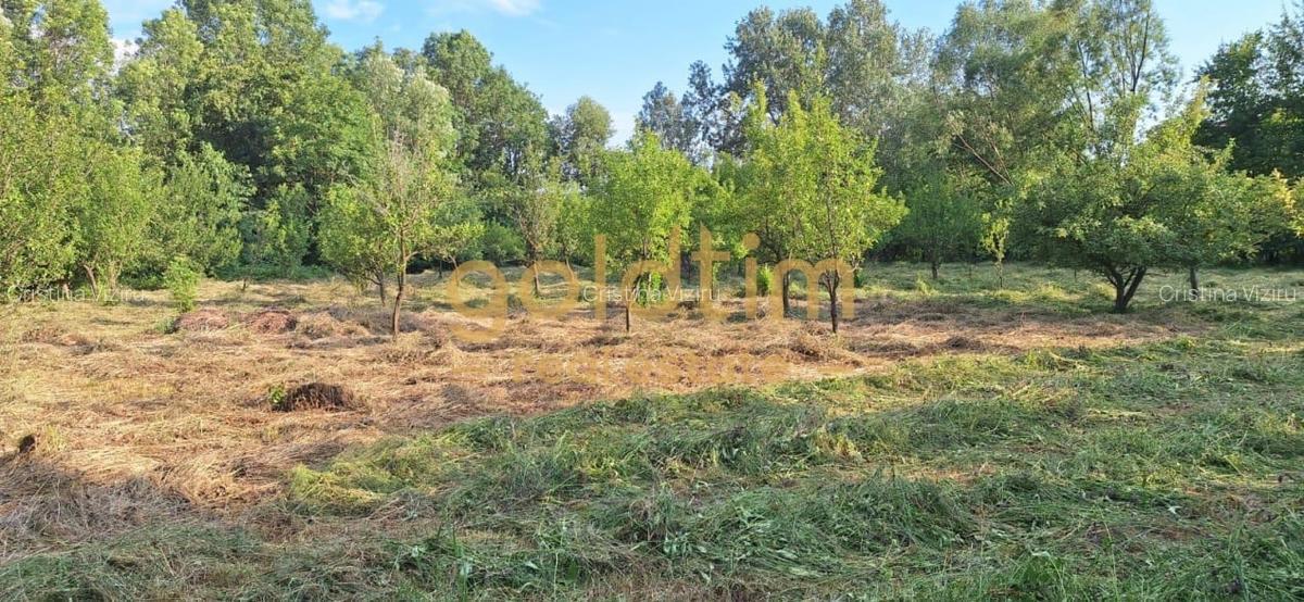 CASA IN ZONA LINISTITA/MOBILATA/UTILATA/TEREN IMPRESIONANT 5000MP/CORNU/PRAHOVA - 55
