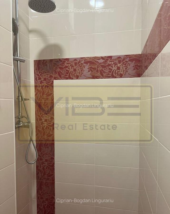 Spatiu de birou/comercial Bd. Independentei - Spiridon - 10