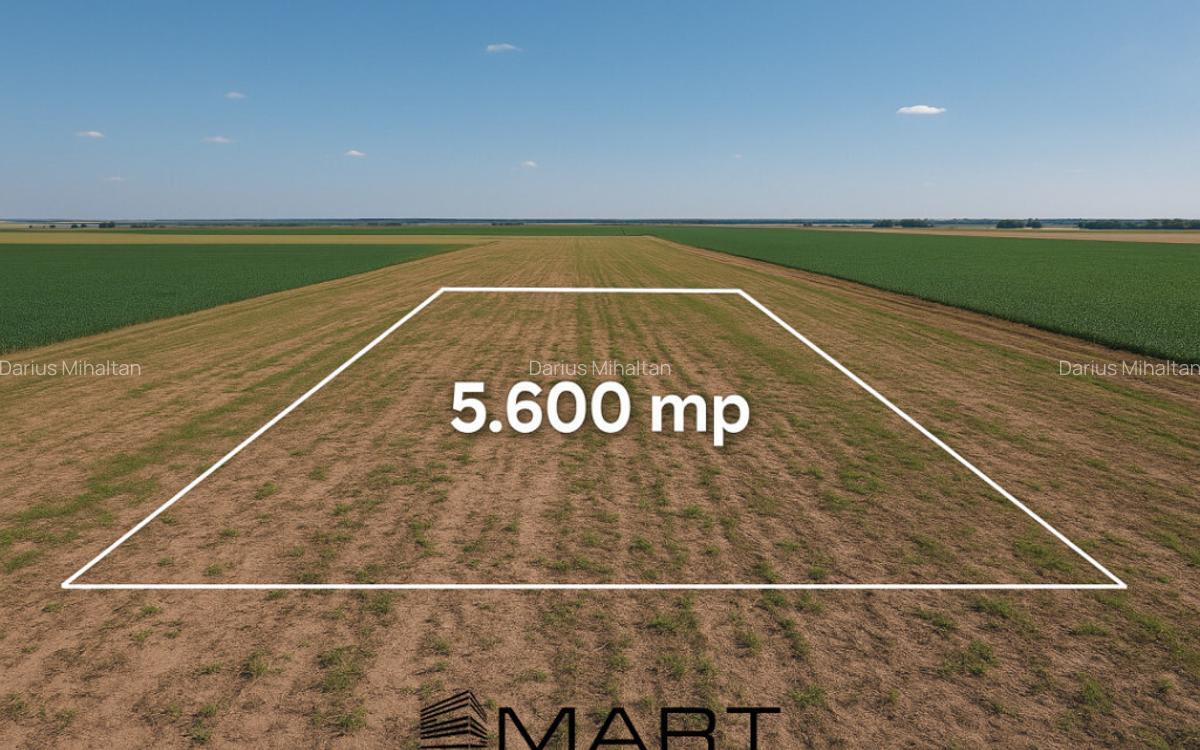 Teren extravilan 5600mp Daia Romana - Alba - 1