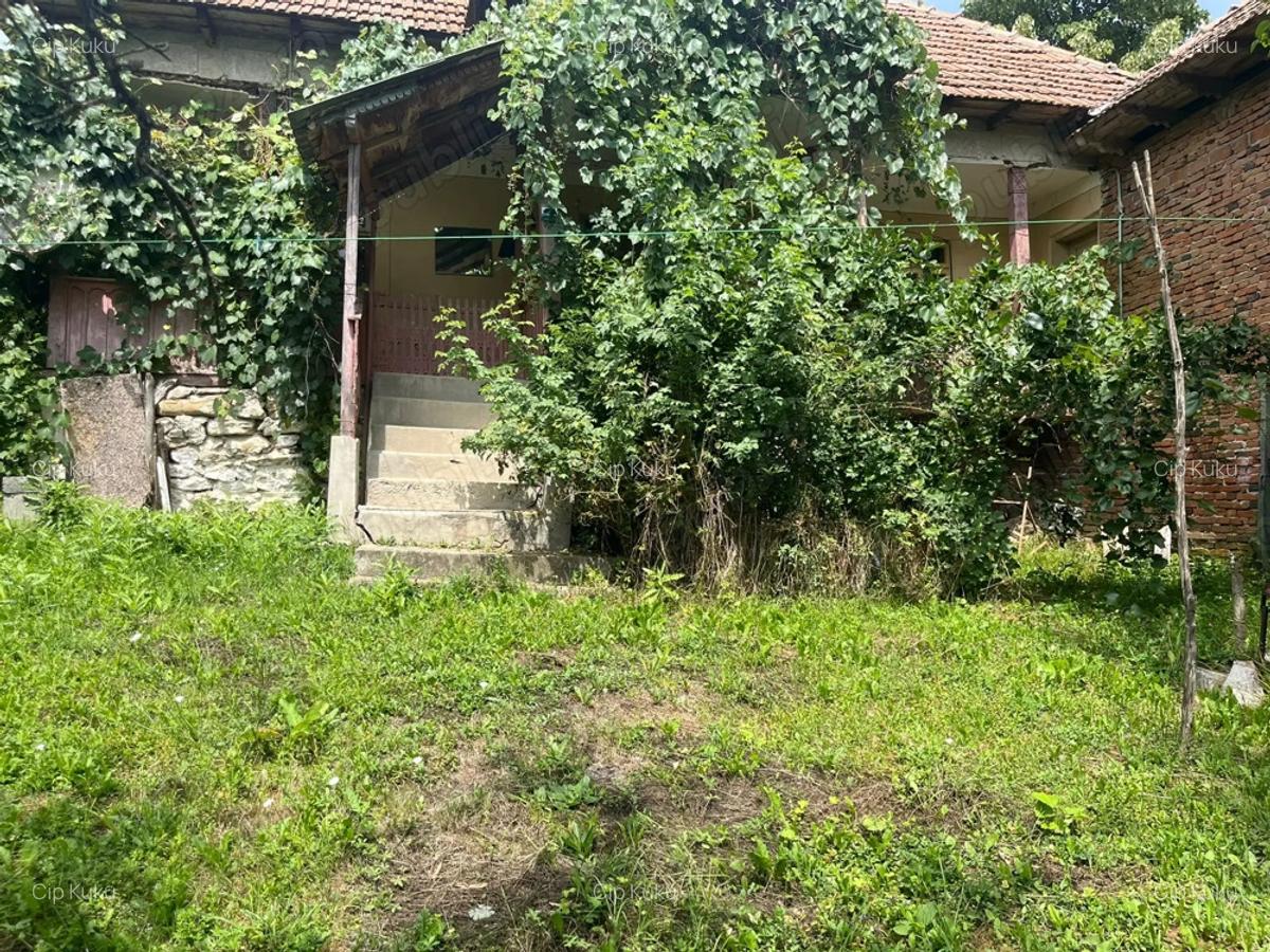 Casa de caramida la ?ara - 6