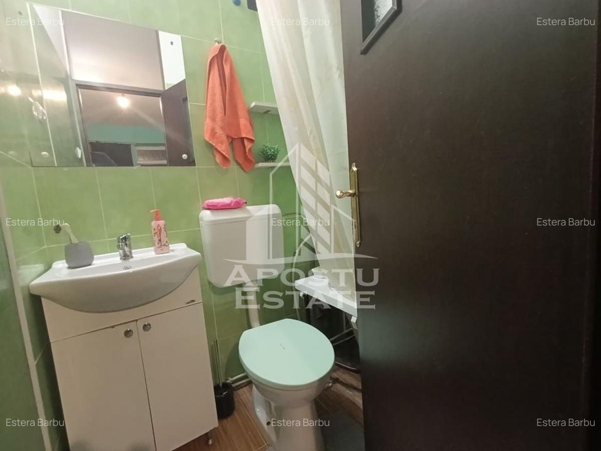 Apartament cu 4 camere semidecomandat, mobilat în Iosefin - 11