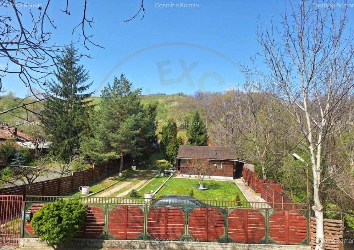 CASA DE VACANTA - UN MIC COLT DE RAI , STEFANESTI, ARGES - 1 CASA DE VACANTA - UN MIC COLT DE RAI , STEFANESTI, ARGES - 1