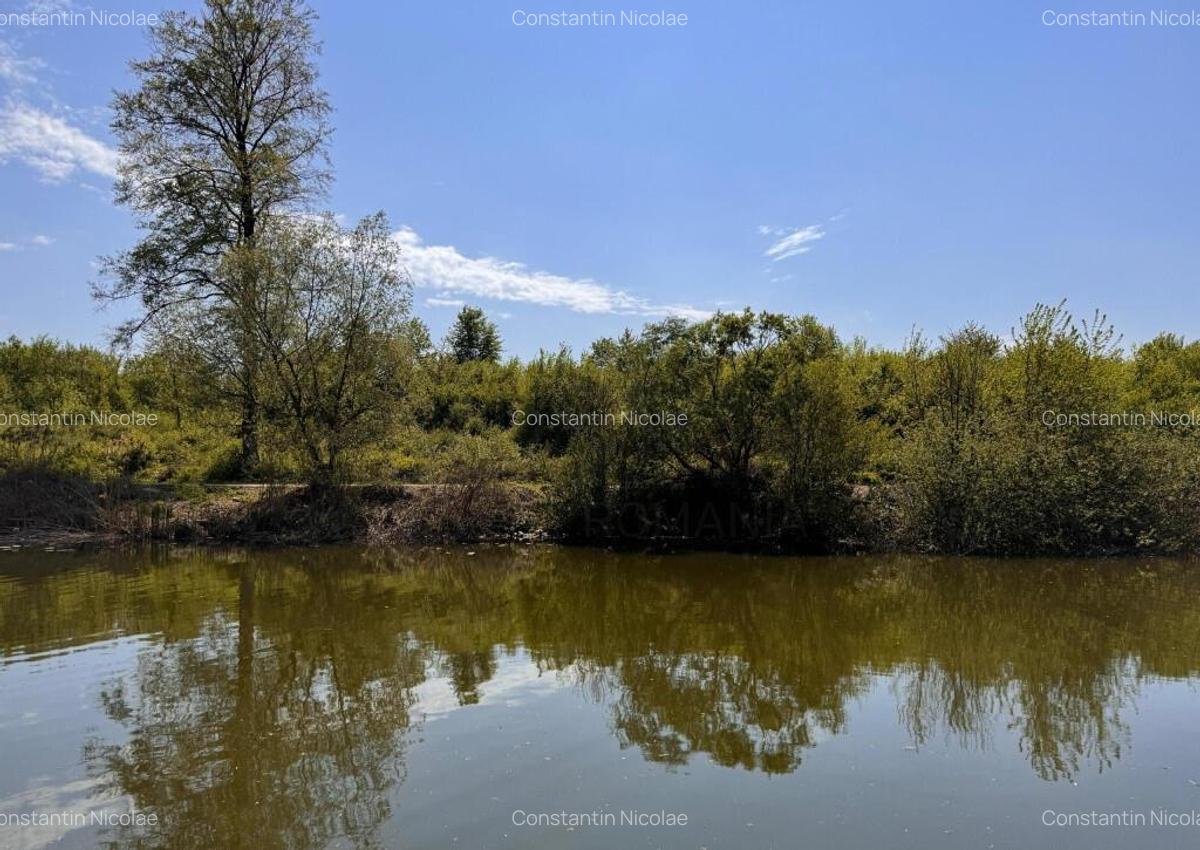 Teren 10000 mp Deschidere Lac Silistea Snagovului De Vanzare - 2