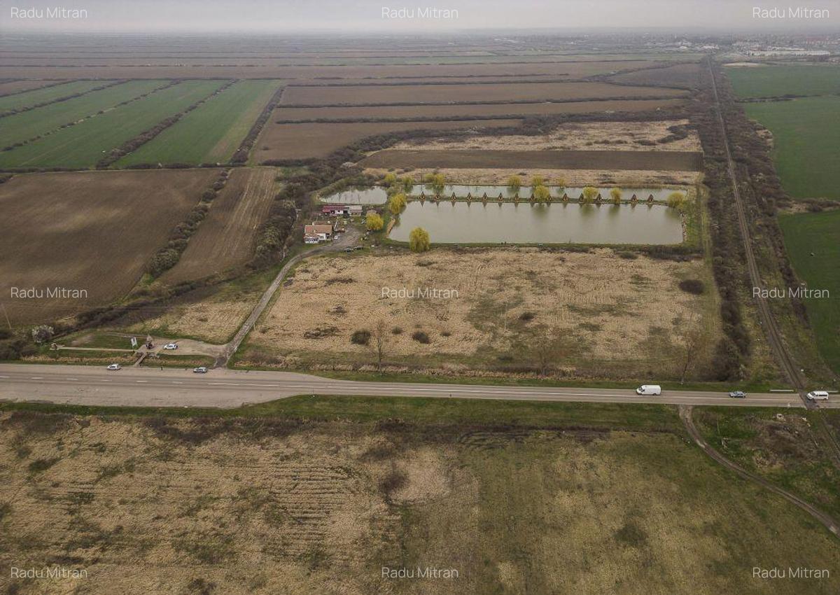 Teren extravilan in Ineu - 11