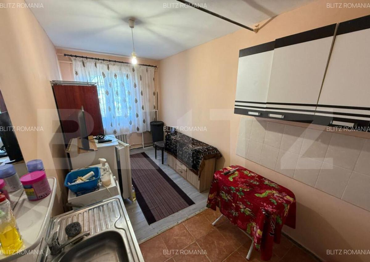Camera de camin, 12 mp, zona Valea Rosie - 2