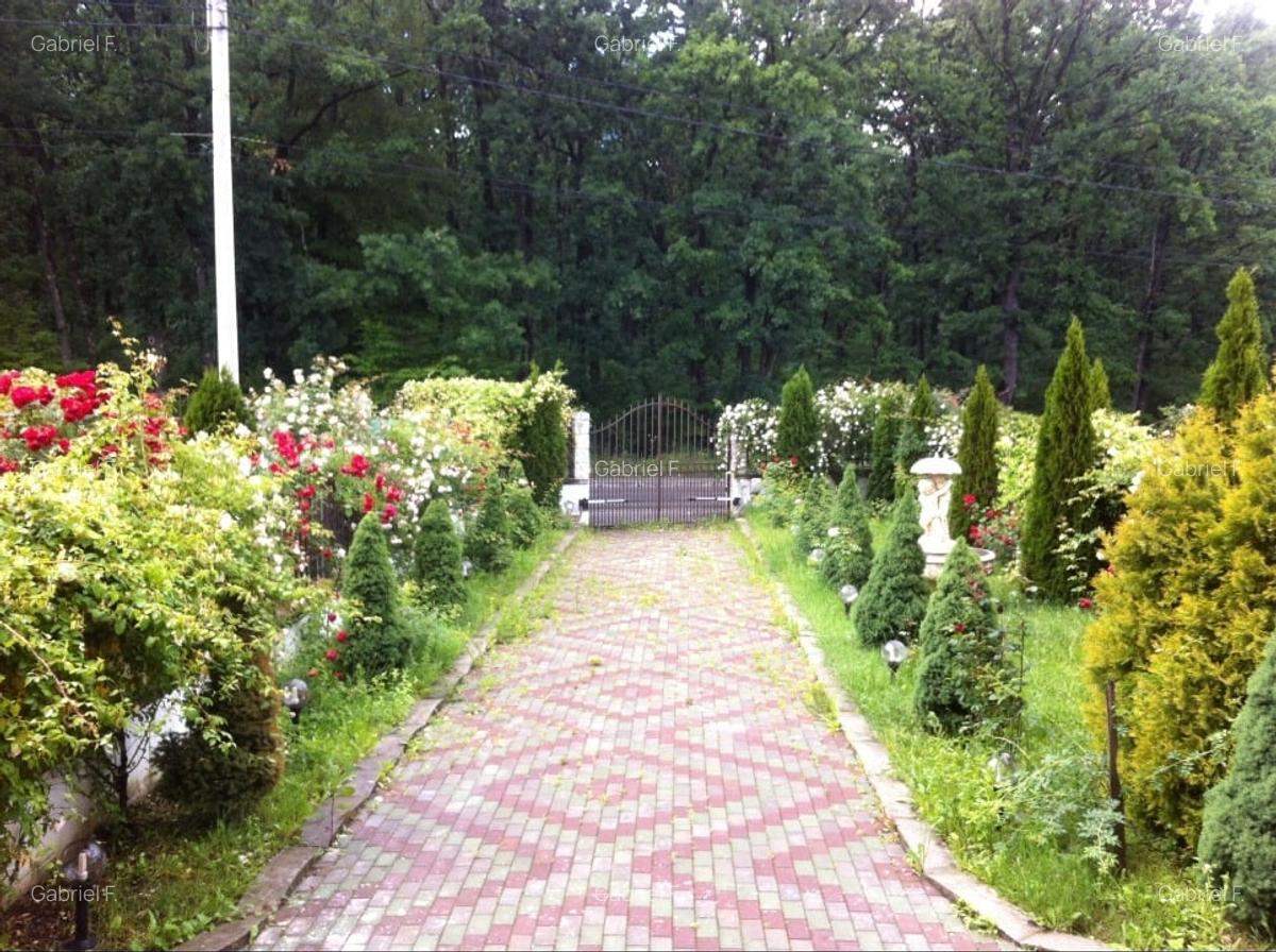 Vilă 3 nivele + pod, 220 mp utili, acces 2 străzi, Găvana 3 – preț 200.000 € - 5