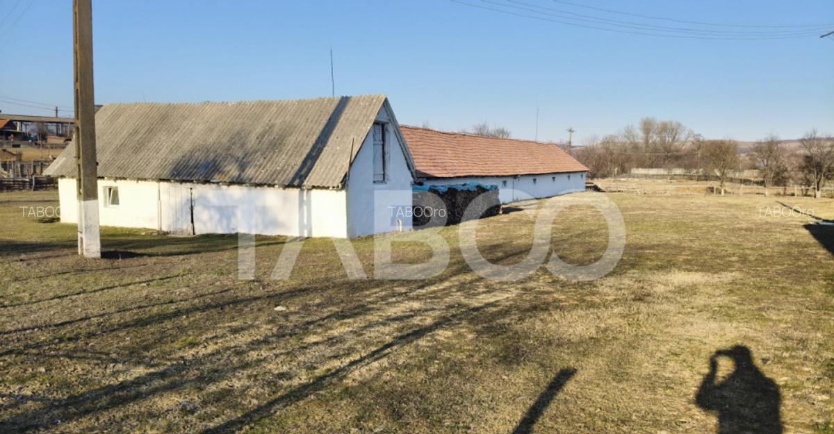 Microferma cu locuinta de vanzare in Pianu de sus - 12