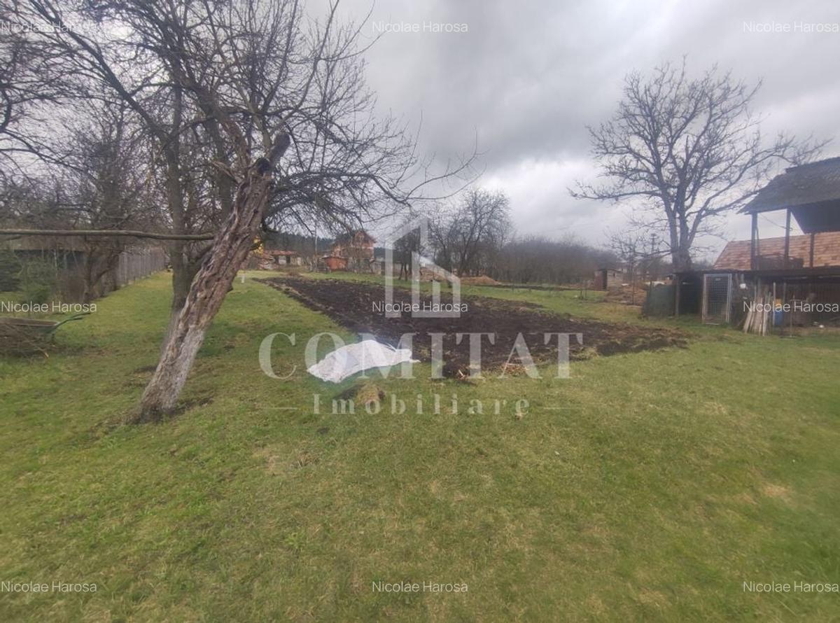 Casa in Chinteni cu teren generos | 80 mp - 12