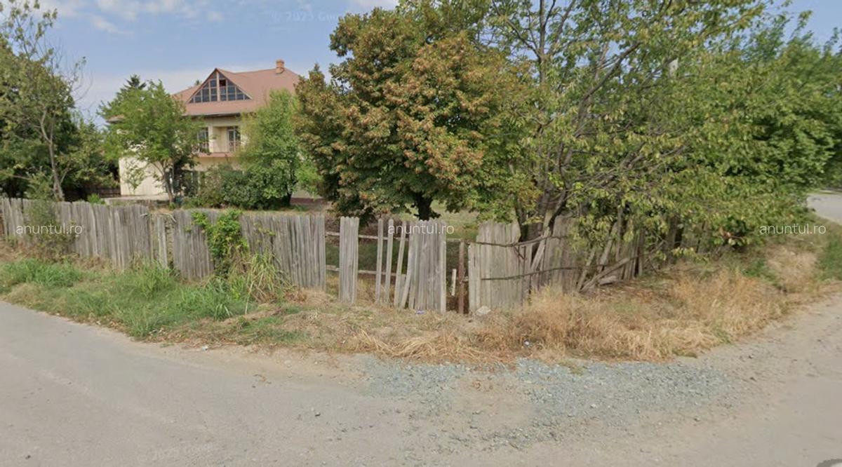 Calarasi valea argovei - 3 Calarasi valea argovei - 3