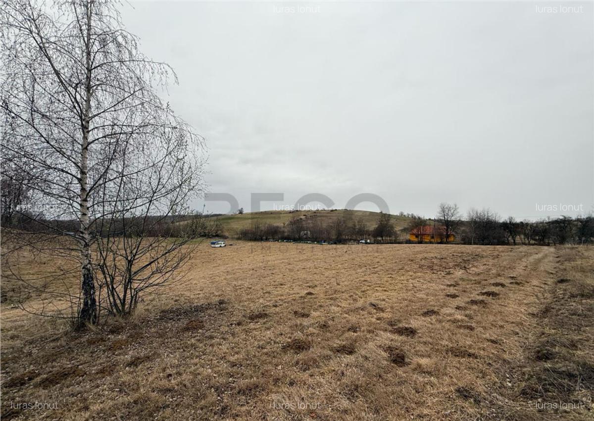 RECO , teren intravilan in Tomnatic, Vadu Crisului - 4