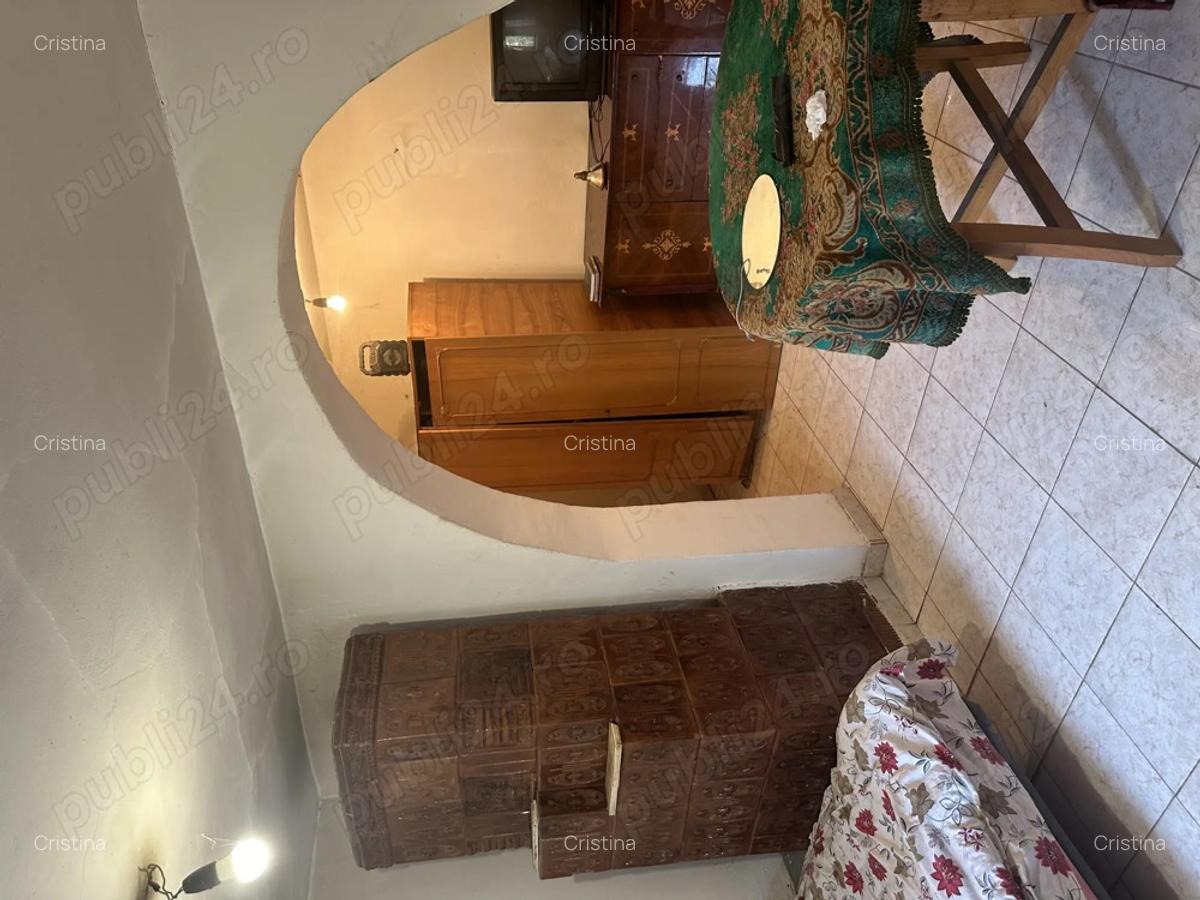 Casa la ?ara de vanzare - 3
