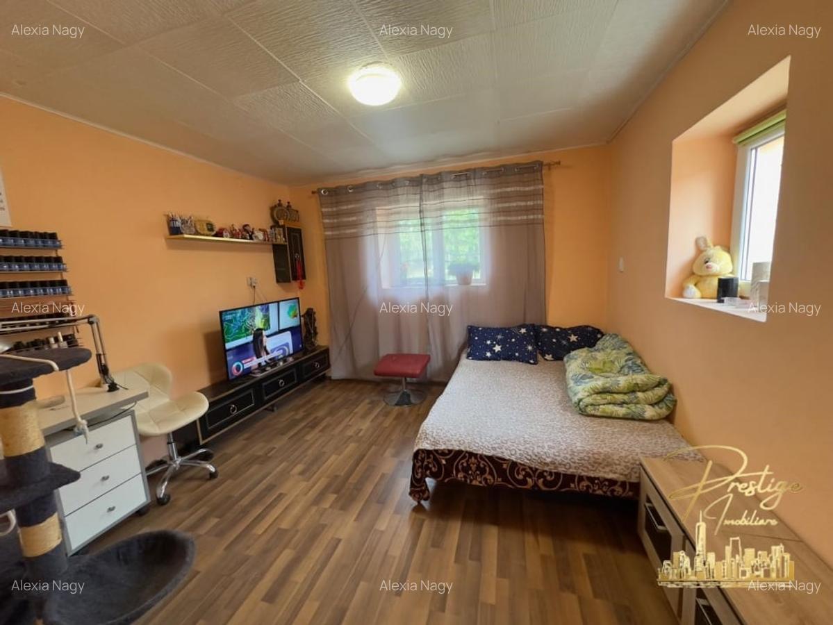 Casa cu anexe si teren de 1000 mp de vanzare in comuna Spinus-Bihor - 19 Casa cu anexe si teren de 1000 mp de vanzare in comuna Spinus-Bihor - 19