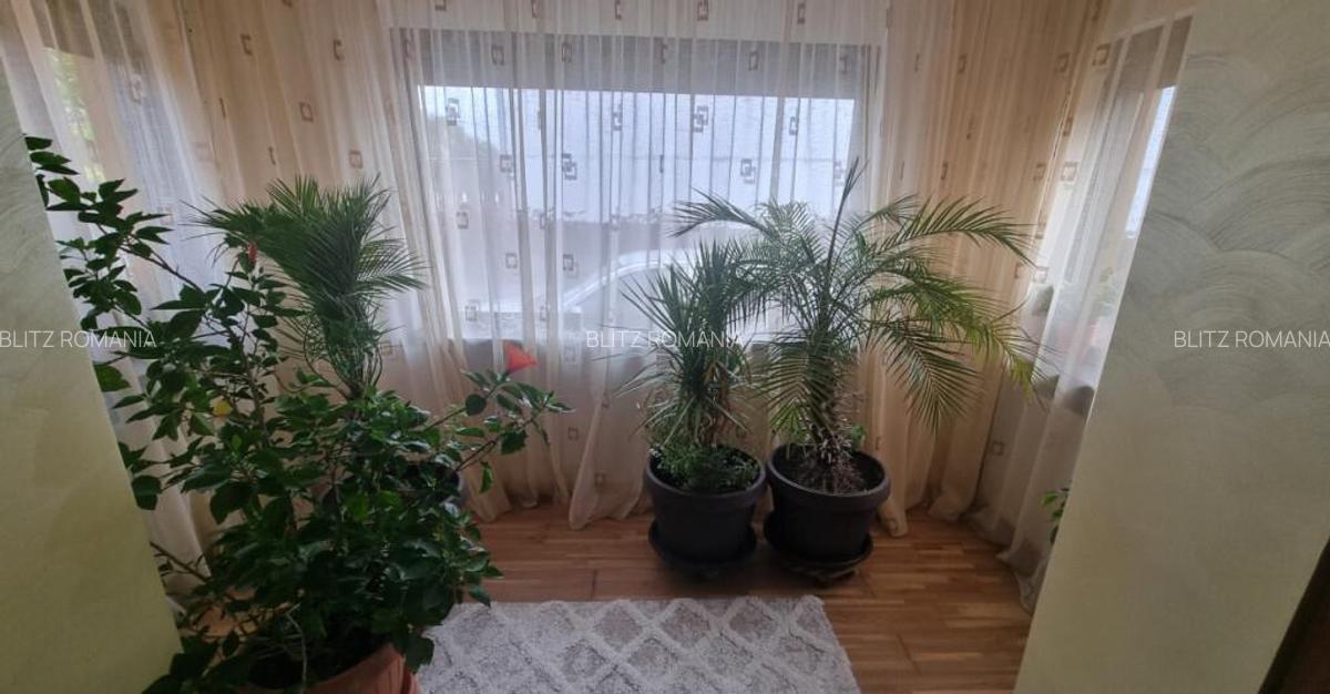 Casa, 200 mp, teren 1800 mp, Oras Bals - 33