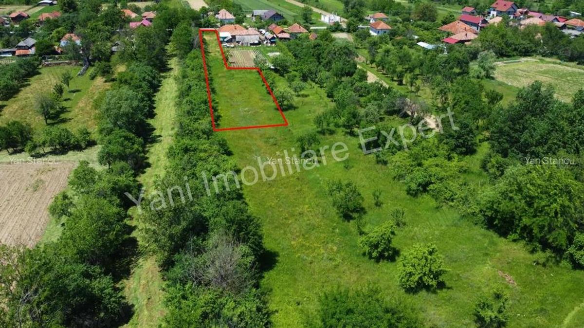 Teren de vanzare in comuna Poienarii de Arge?, sat Ceaure?ti, Jude? Arge?. - 16