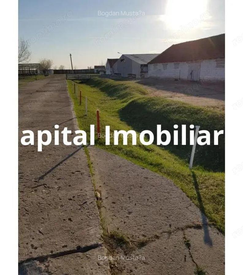 Ferma langa Oravita 5600 mp construiti si teren 24281 intravilan - 10
