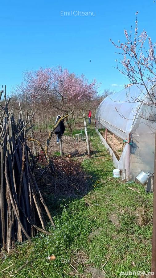 Casa de vanzare Dumitresti, Olt - 5