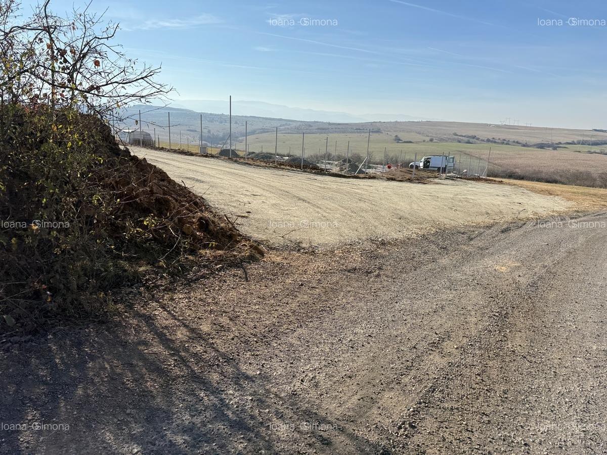 🏡 teren pentru cabane Sibiu, 1992 mp, Dealul Daii, direct de la proprietar - 6