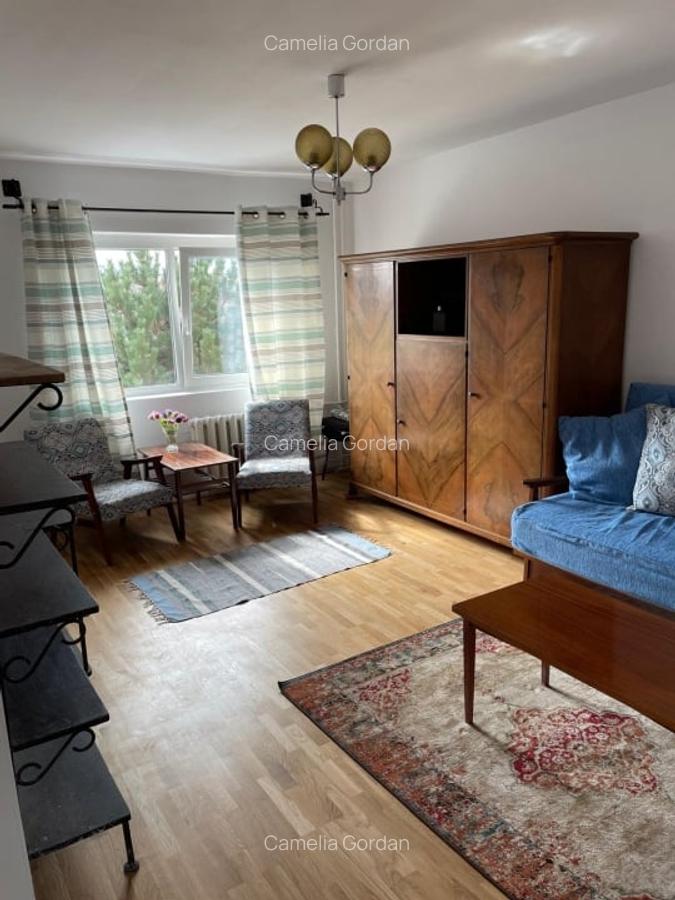 Inchiriere apart. cu 2 camere, Grigorescu, 550 Eur/luna - 5