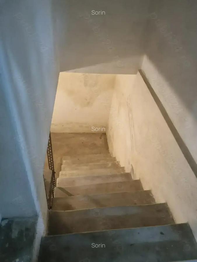 Vand casa la curte in Rosiori de Vede - 7
