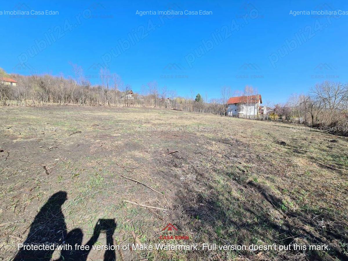 Teren intravilan in Cornu de Jos--4391 mp--43e - 7