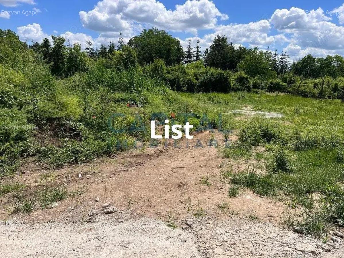 Comision 0% Teren Intravilan 1.000 mp, Galata, Iasi - 4