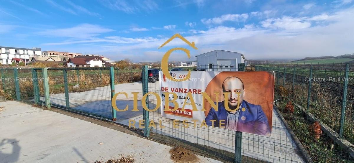 Hala de vanzare in Racarii de Jos - 2