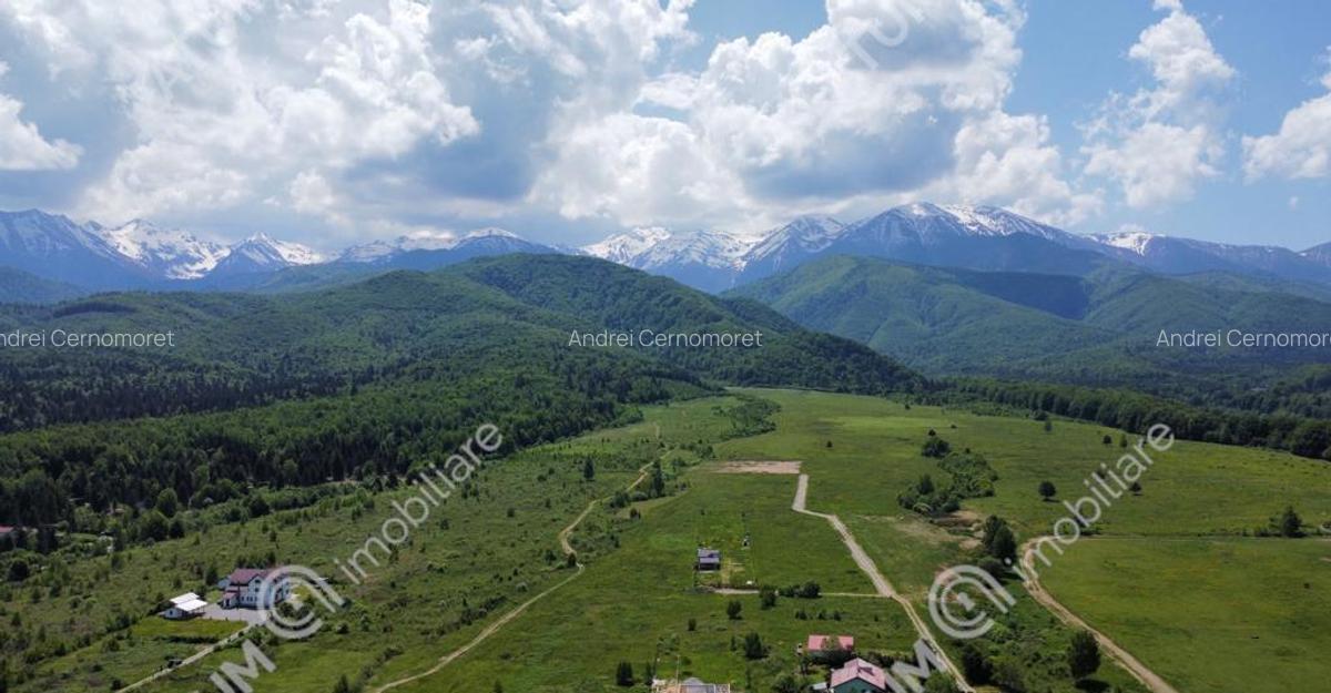 Teren Intravilan 1600 mp in Avrig zona Valea Avrigului - 4