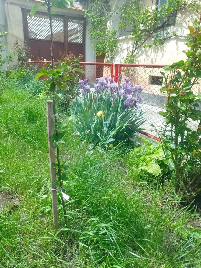 Casa langa Viscri de vanzare/schimb cu ap 2 cam Brasov - 5 Casa langa Viscri de vanzare/schimb cu ap 2 cam Brasov - 5