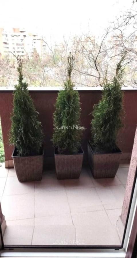 Apartament 1 camera, 40 mp, balcon, FSEGA, IULIUS MALL - 7