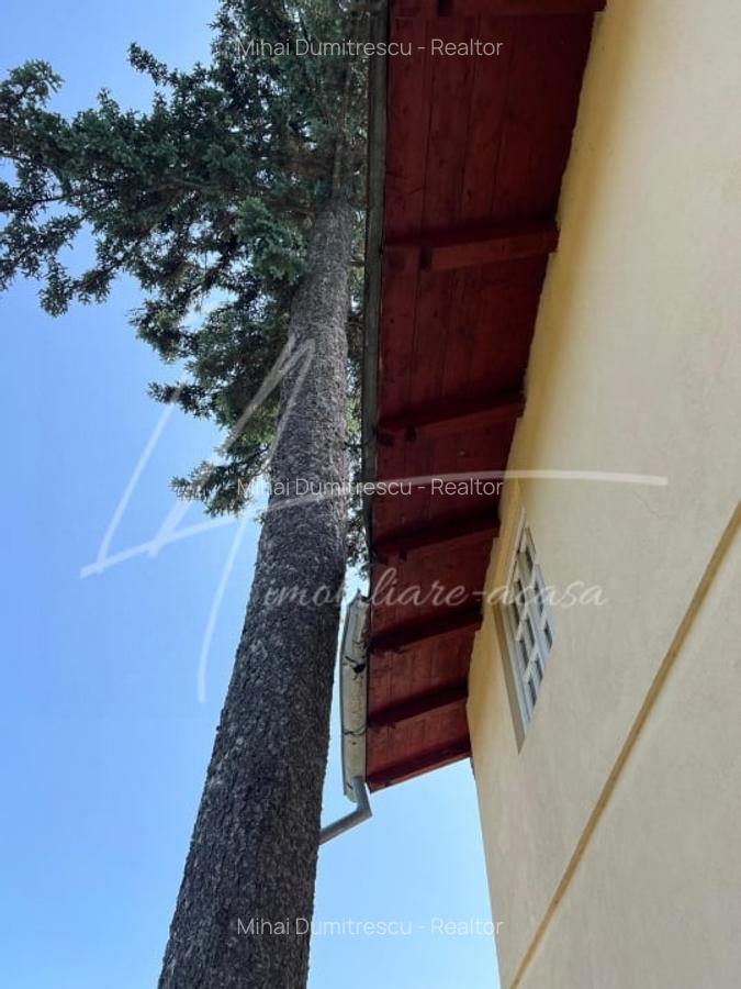 Teren intravilan de 1740 mp cu constructie in Provita de Sus-PH. Casa gratis! - 38