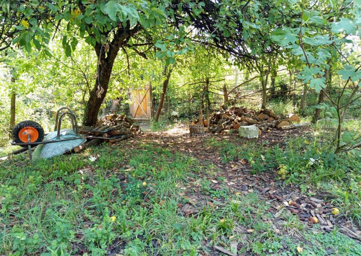 Ilidia, Casa de Vacanta, 3 Camere, 899mp Teren, Usor Negocia - 12