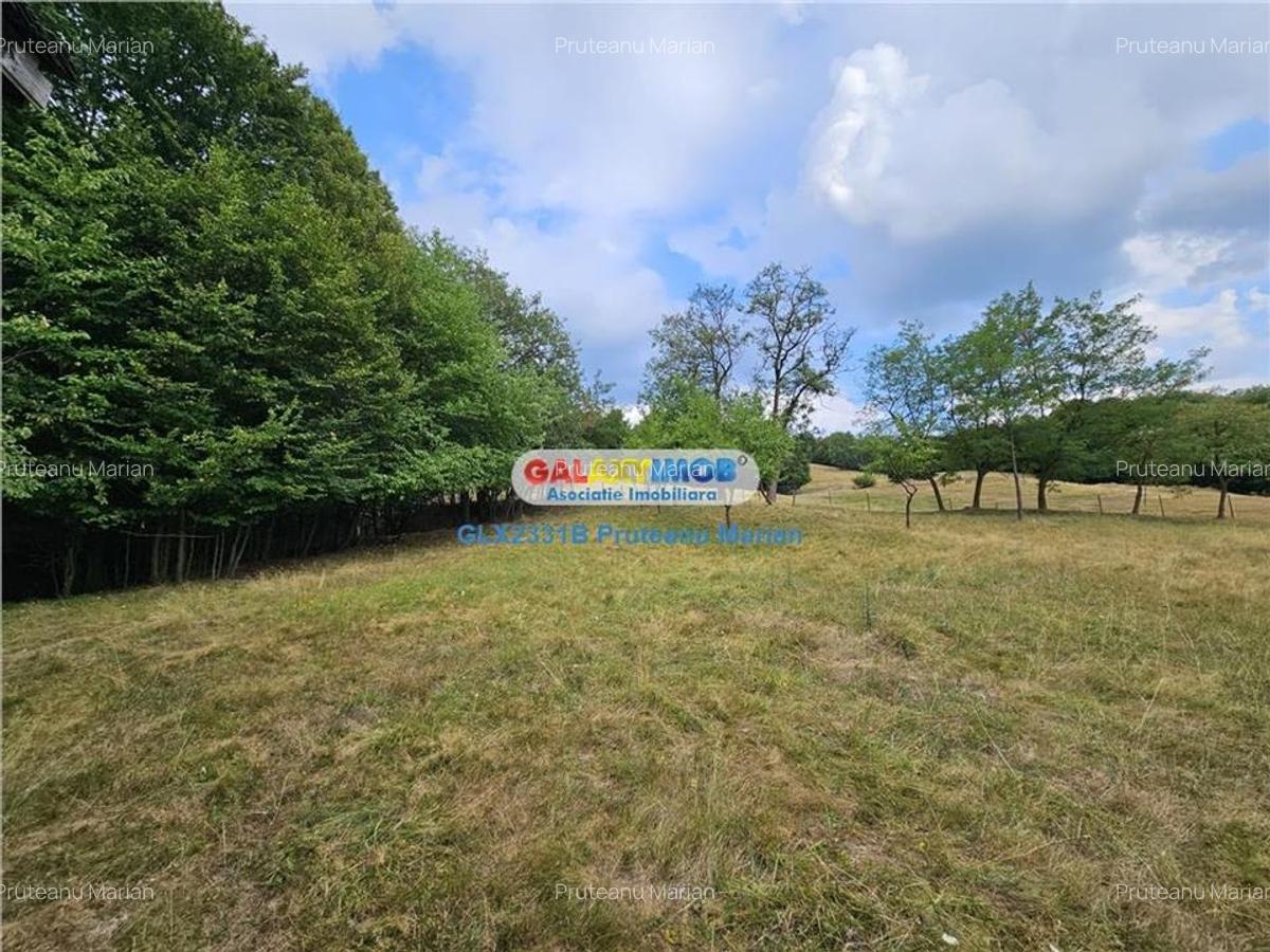 Vanzare teren 2680 m situat la Curtea de Arges cu iesire spre Transfag - 12