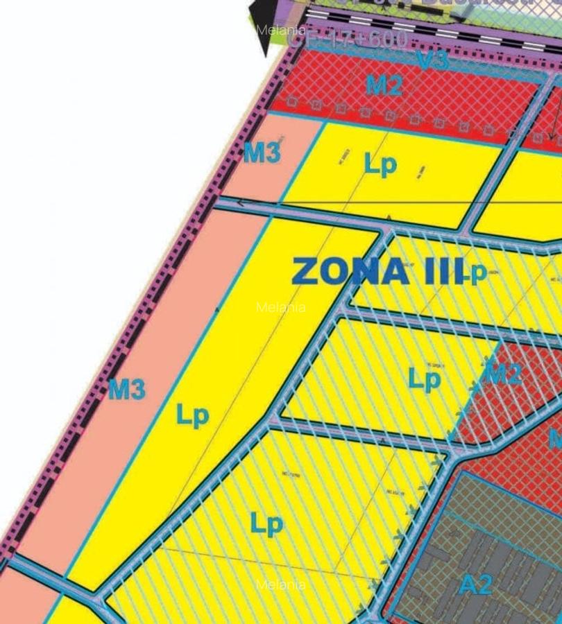 47500mp INTRAVILAN Pantelimon ideal investitie/ cartier case/ direct proprietar! - 6