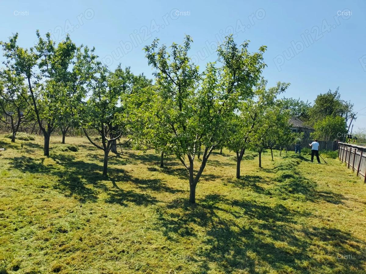 PERSOANA FIZICA!Casa batraneasca cu teren si livada,sat Macaresti, com Prisacani iasi - 4