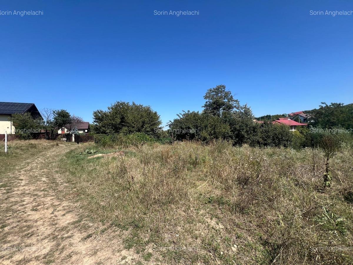 1100 mp Barnova , str Capela Inculet - 2