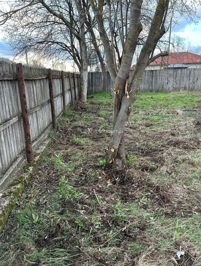 Teren intravilan 1570 mp in sat Magura (Hulubesti), Dambovita, deschidere 31ml - 8